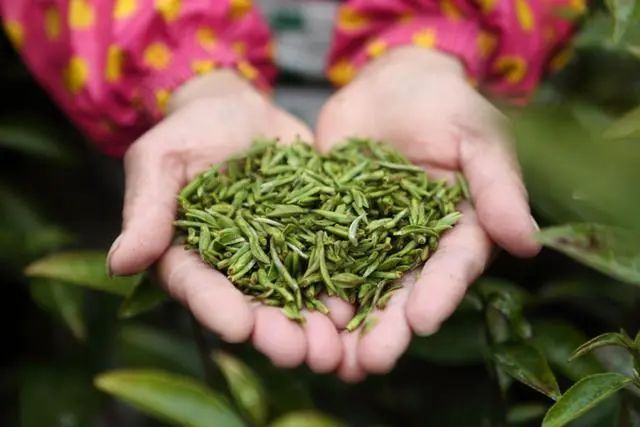 致富客户端致富网赚论坛网址-第2张图片-太平洋在线下载