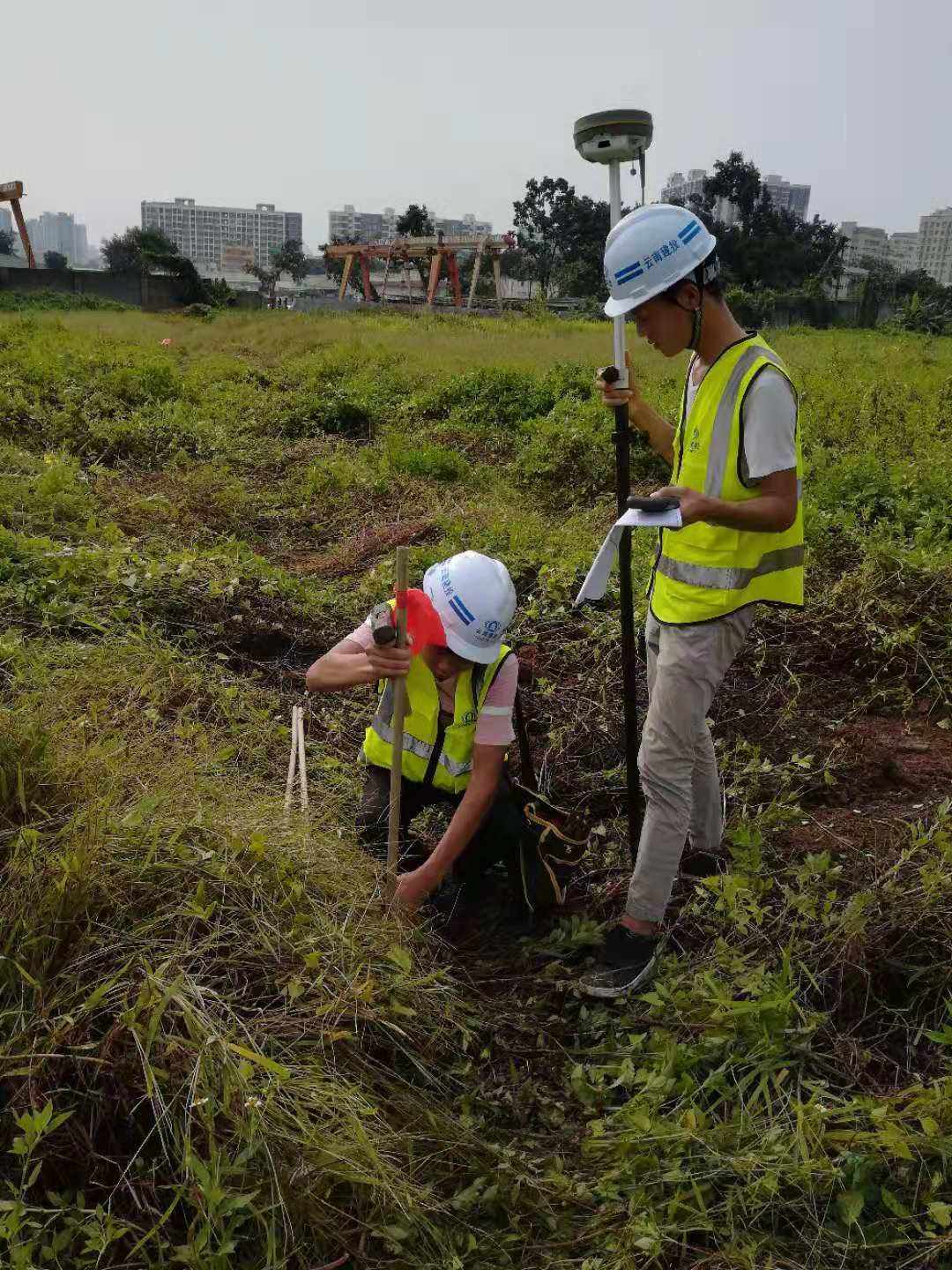 公路放样手机版rtk公路放样教程