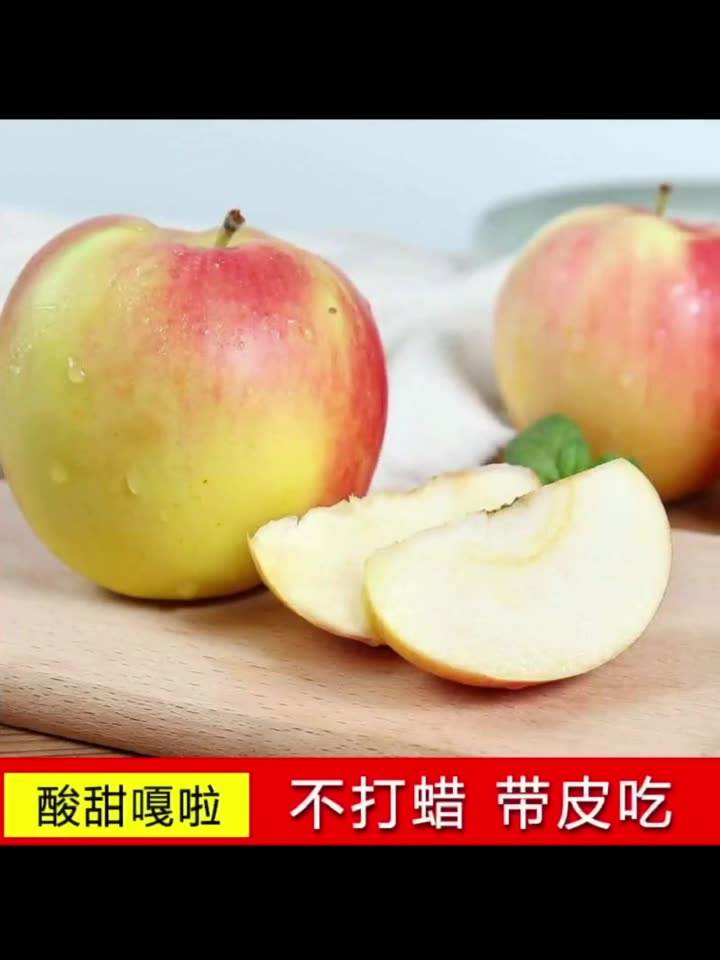 小苹果电声版小苹果mp3播放