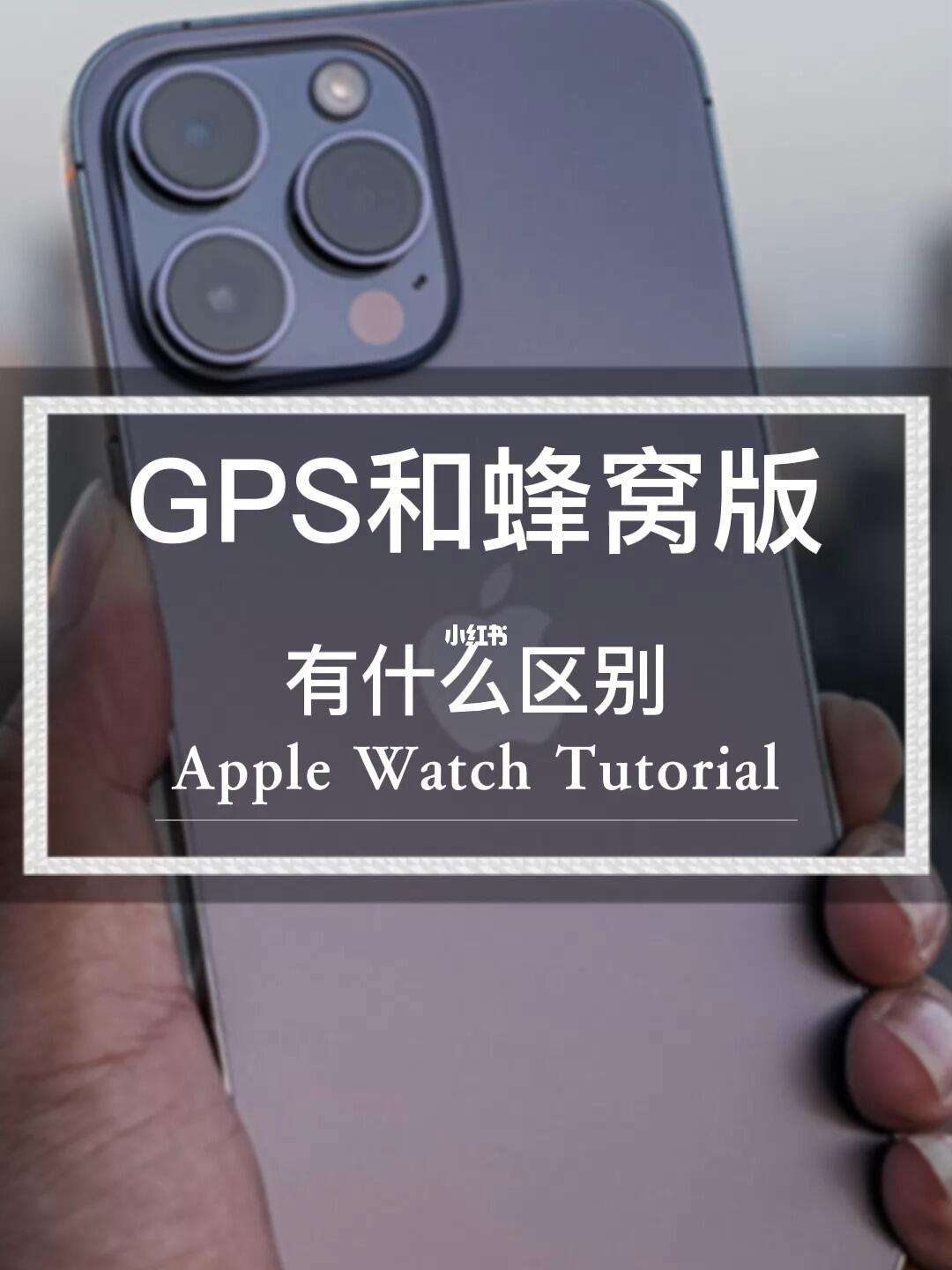 窝蜂苹果版地窝蜂蜂巢图片-第1张图片-太平洋在线下载