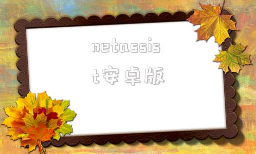 netassist安卓版谷歌assistant安卓版-第1张图片-太平洋在线下载