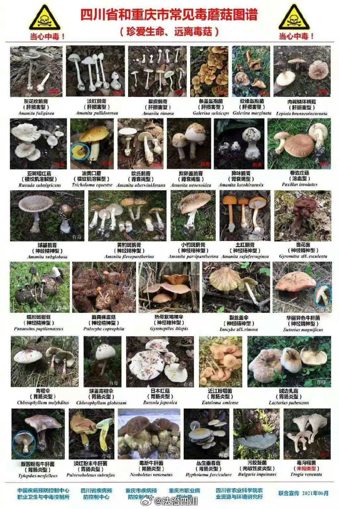 蘑菇花园苹果手机版下载无视风险安装下载app软件-第2张图片-太平洋在线下载