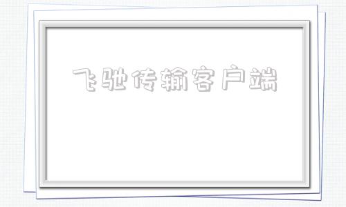 飞驰传输客户端飞驰加速器官方版