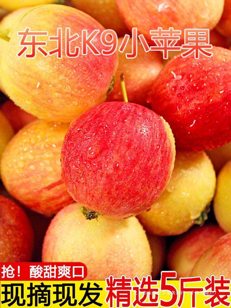 小苹果红色版苹果ios18正式版9月17日更新-第1张图片-太平洋在线下载