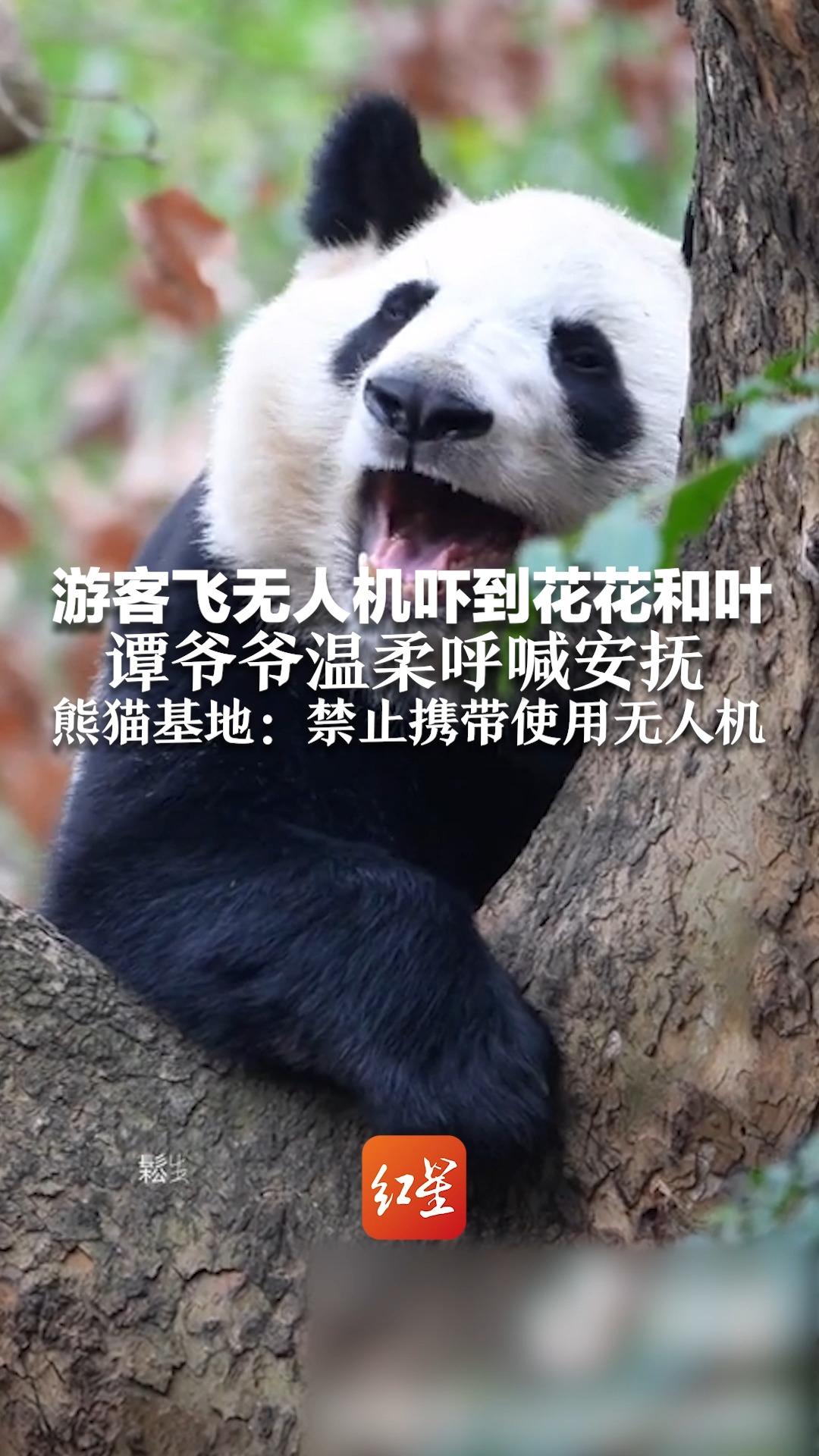 pacify手机苹果版pacify有没有手机版-第2张图片-太平洋在线下载