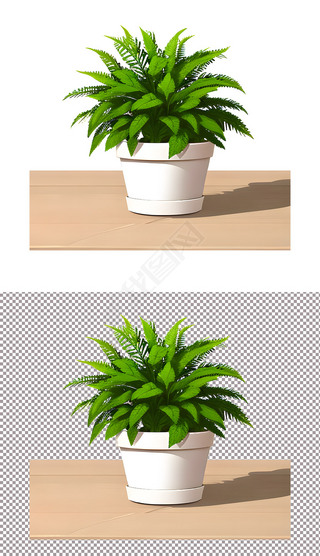 小草安卓版打不开老版本的小草app安装包